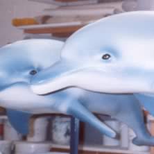 Delfini (Immagine 2)