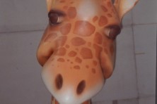 animali-giraffa-001 (Anteprima)